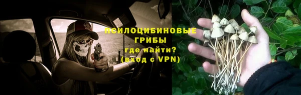 мяу мяу мука Бородино