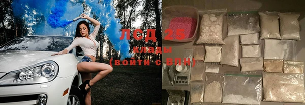 ГАЛЛЮЦИНОГЕННЫЕ ГРИБЫ Пестово